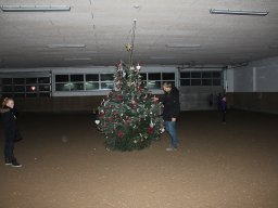 2013 Juletræspyntning